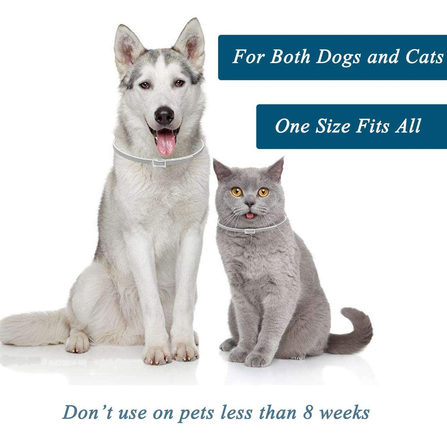 Pro Guard Flea and Tick Pets Collar