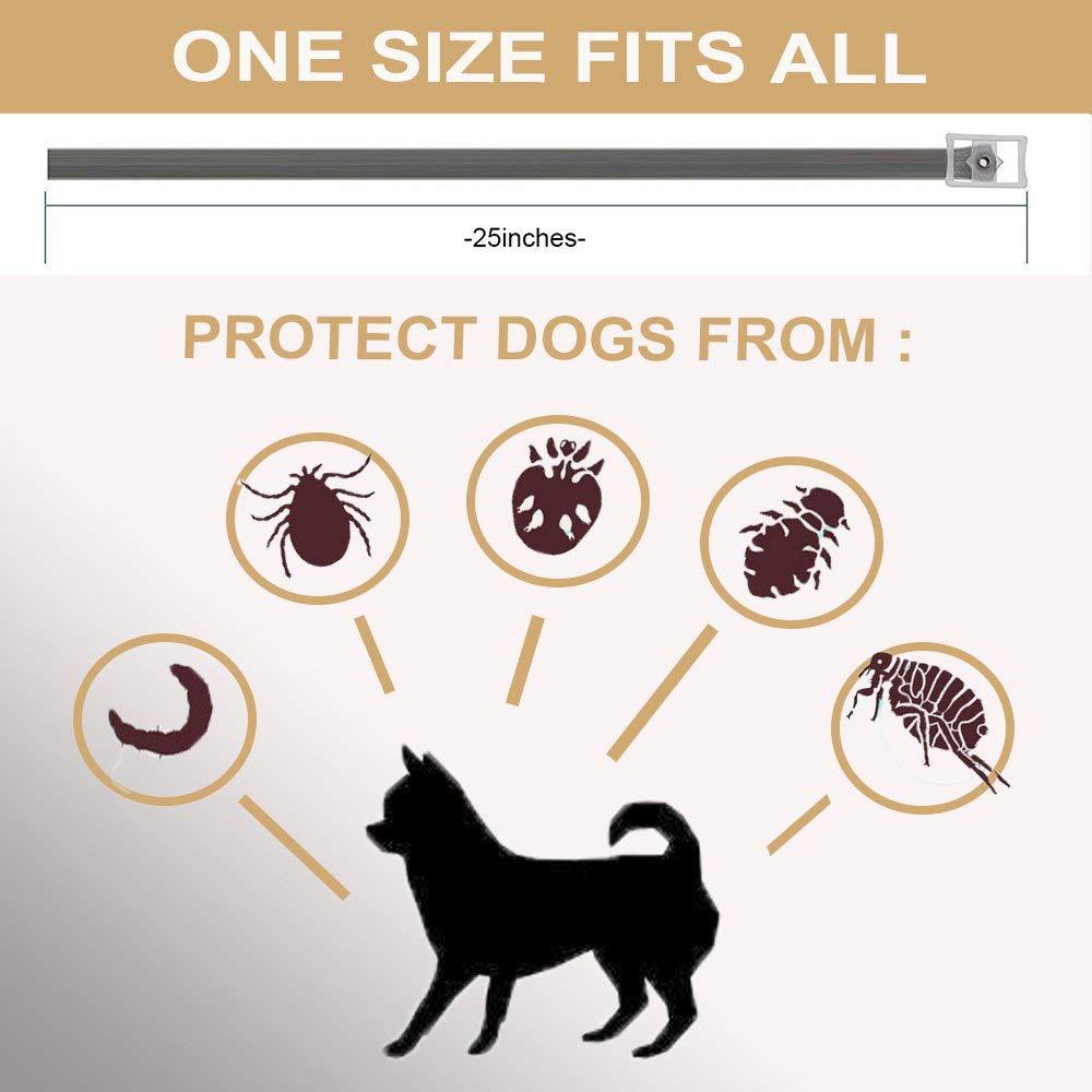 Pro Guard Flea and Tick Pets Collar