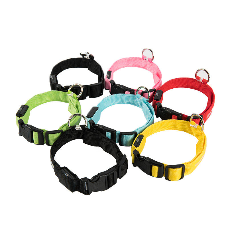 Rechargeable LED Dog Collar