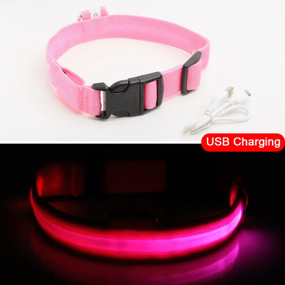 Rechargeable LED Dog Collar