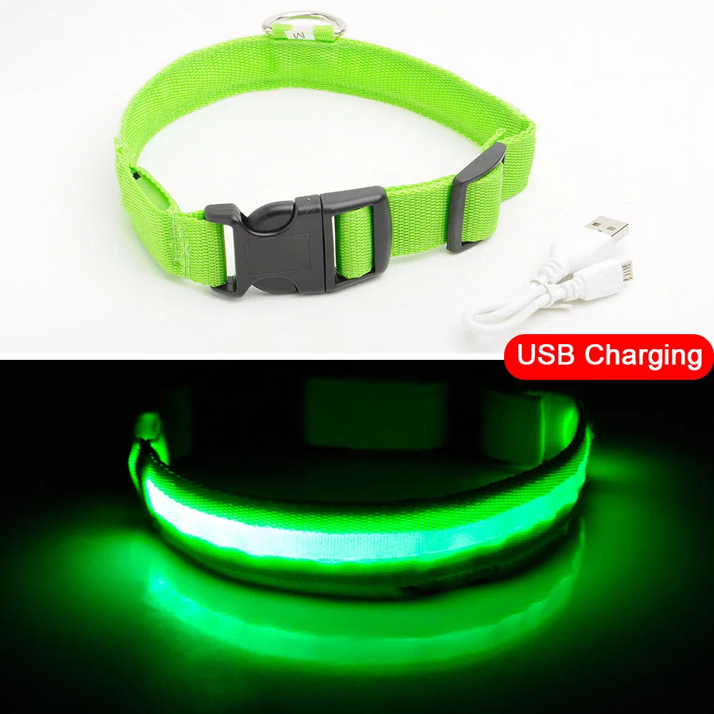 Rechargeable LED Dog Collar