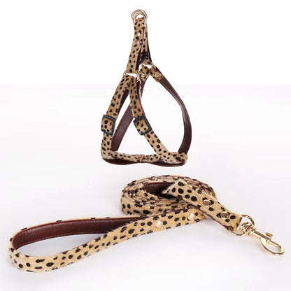 Leopard Luxe (Pet collar)