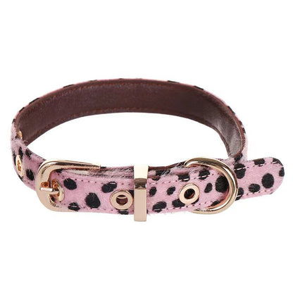 Leopard Luxe (Pet collar)