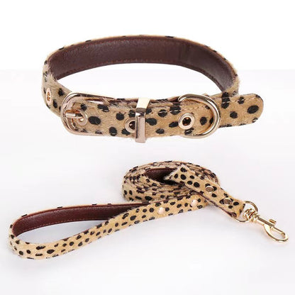 Leopard Luxe (Pet collar)