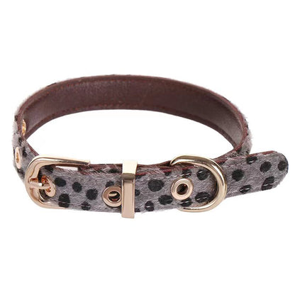 Leopard Luxe (Pet collar)