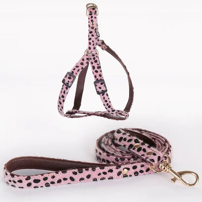 Leopard Luxe (Pet collar)